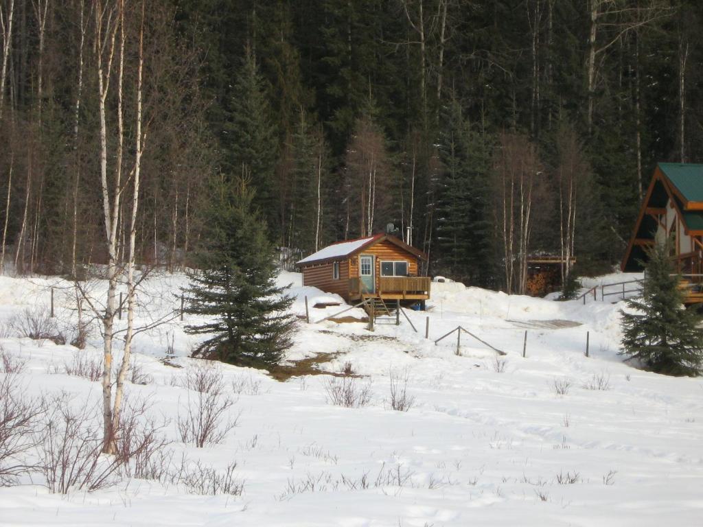 Отель Bear Corner Adventures Bed & Bale Голден Экстерьер фото