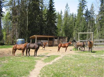 Отель Bear Corner Adventures Bed & Bale Голден Экстерьер фото